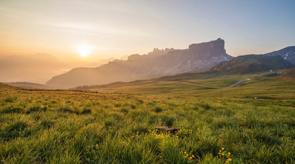 Mountains and Green Grass